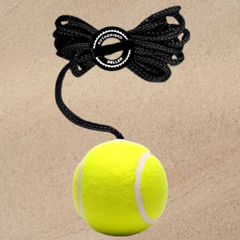 ASEBHARI Batting Practice Hanging Ball Trainer for Cricket Training Cricket Training Ball