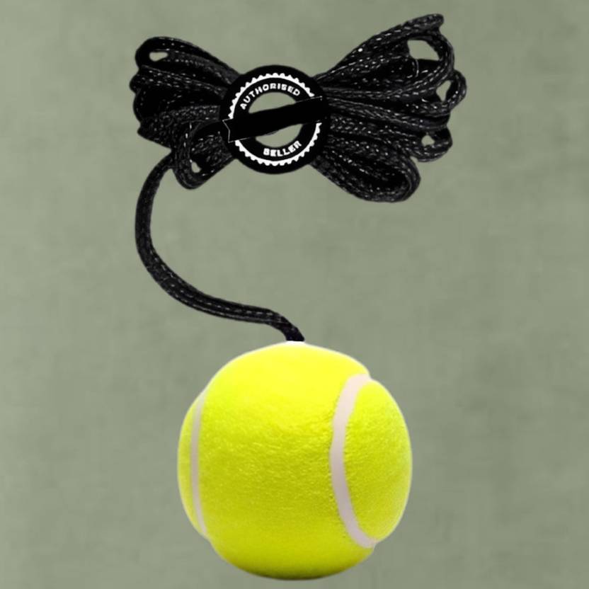 ASEBHARI Cricket Batting Practice Hanging Ball for Timing Skills Cricket Training Ball