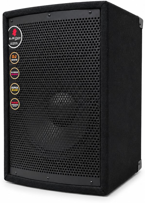 AURVO 10 Inch Passive DJ Speaker - Image 1