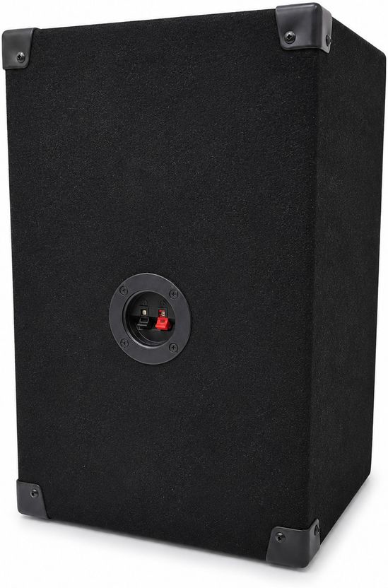 AURVO 10 Inch Passive DJ Speaker - Image 3