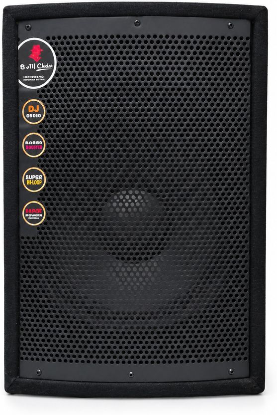 AURVO 10 Inch Passive DJ Speaker - Image 2