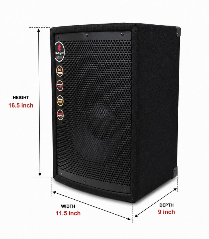 AURVO 10 Inch Passive DJ Speaker - Image 4