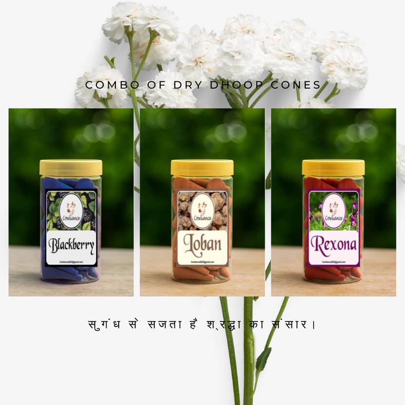 Cowliance Premium Herbal Long Burning Dhoop Cones for Purifying Aura Frankincense, Floral, Eucalyptus Dhoop