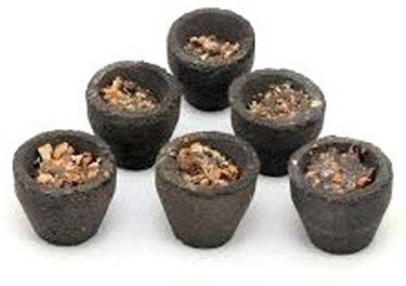 Royal Villa Crafts Special Pure Loban Dhoop Cup 12 Cups in 1 Pack Natural Guggul Dhoop