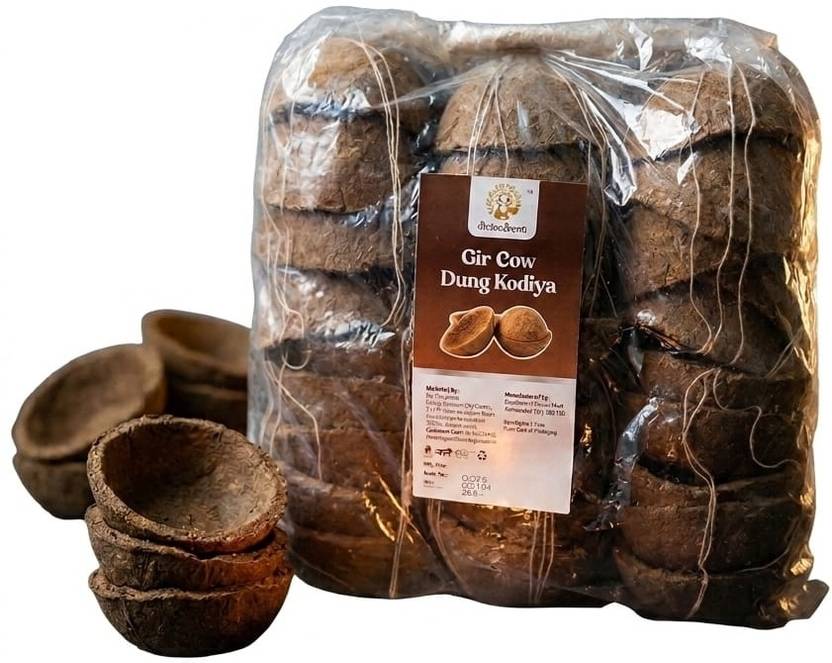 divine dhenu Gir cow dung Kodiya (30P) Cow Dung (Pack of 30) Table Diya Set