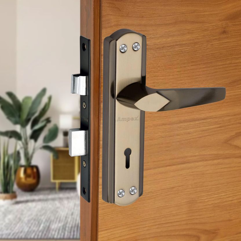 AMPEX Brass, Stainless Steel, Iron Glossy Handlesets - Image 3