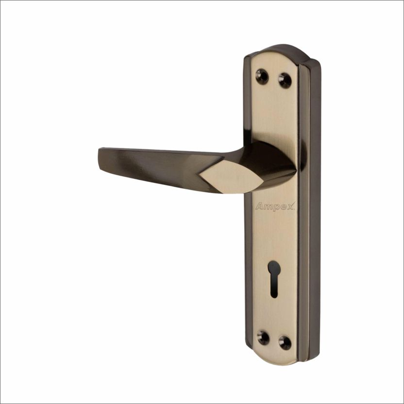 AMPEX Brass, Stainless Steel, Iron Glossy Handlesets - Image 4