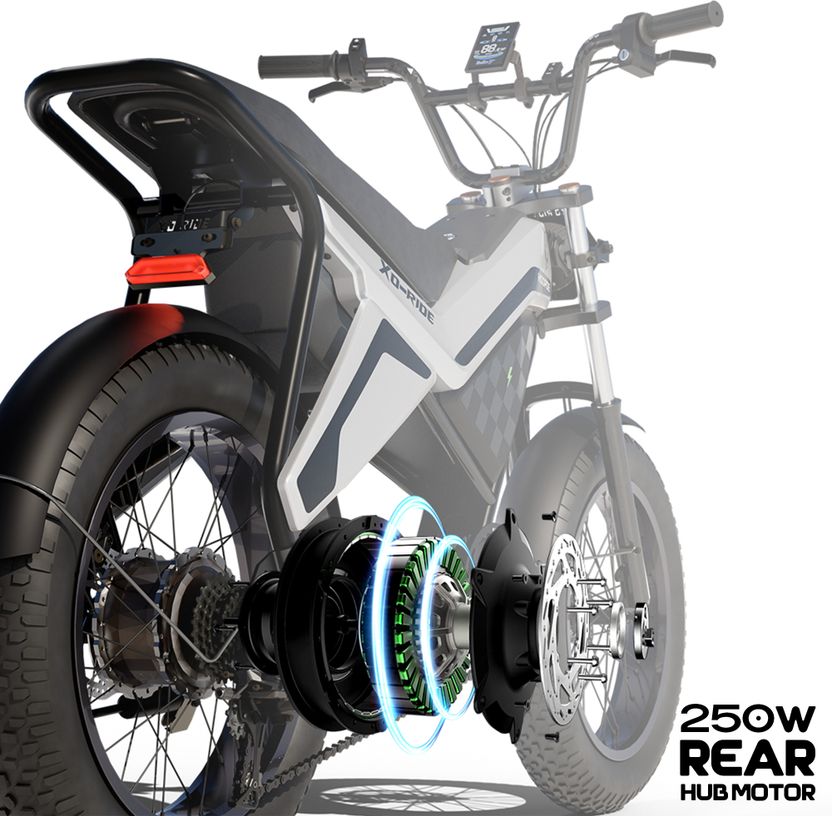 Hoopoe XO-Ride Conqueror 250W Electric Cycle - Image 2