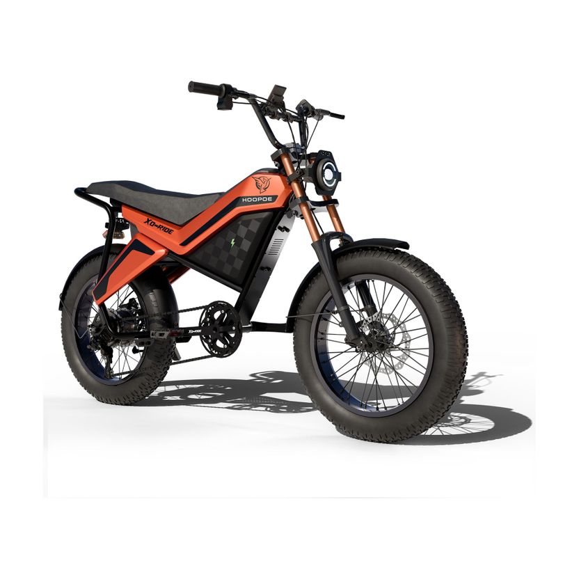 Hoopoe XO-Ride Conqueror 250W Electric Cycle - Image 8
