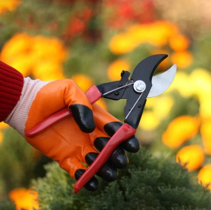 SHAHJI Double Cut Cutter Shear, Pruner For Home Gardening Bypass