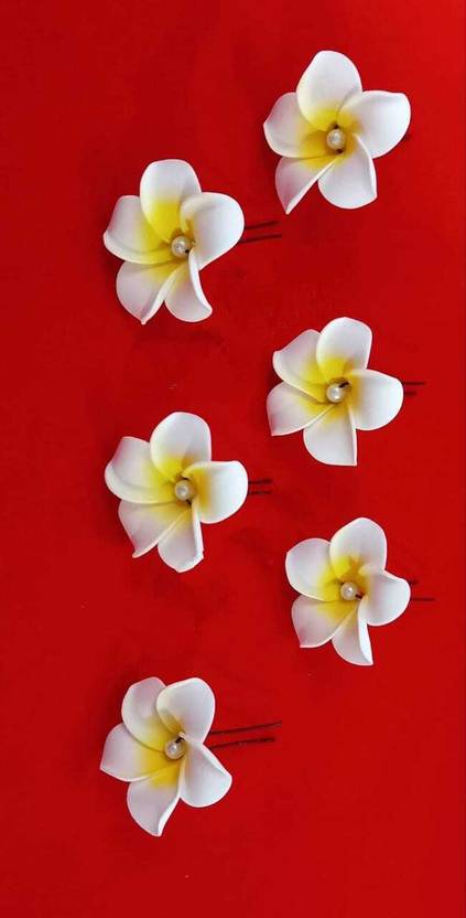 BengCraft white hair clip Hair Clip