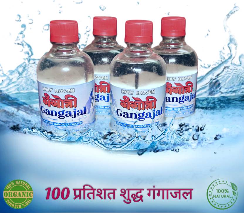 holy haven GANGOTRI GANGA JAL FILLED FROM GANGOTRI PACK OF 250 ML