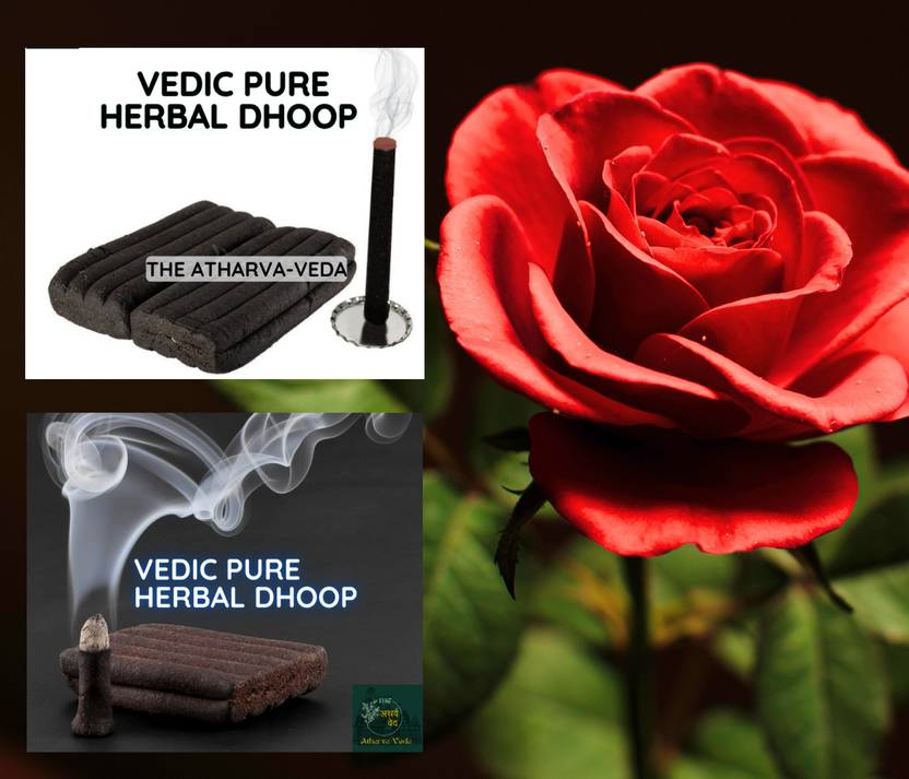 The Atharva-veda 20Big Premium Rose Fragrance Dhup Bati Rolls, 100% Pure Gulab Flavour Wet Dhoop