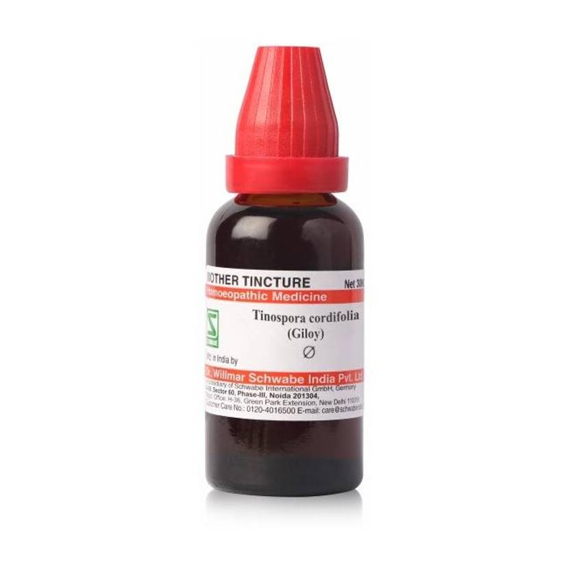 Dr.Willmar Schwabe Tinospora cordifolia(Giloy) Q Mother Tincture