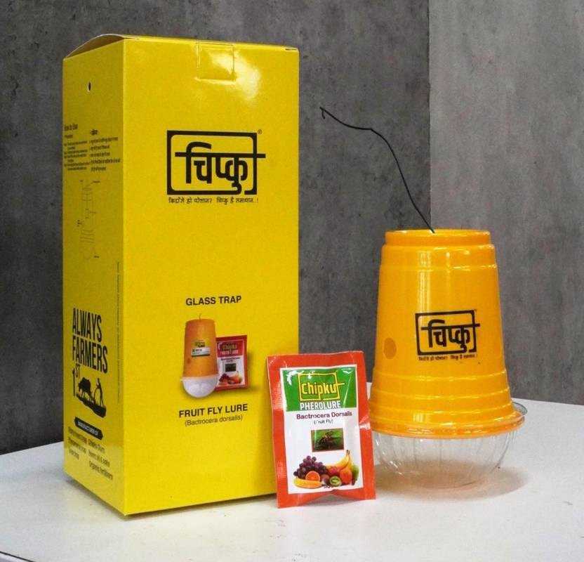 Chipku GLASS TRAP WITH FRUIT FLY LURE PACK OF 10