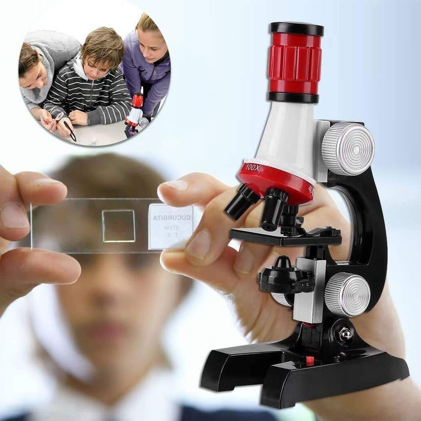 Glenston Microscope with Light - Image 4
