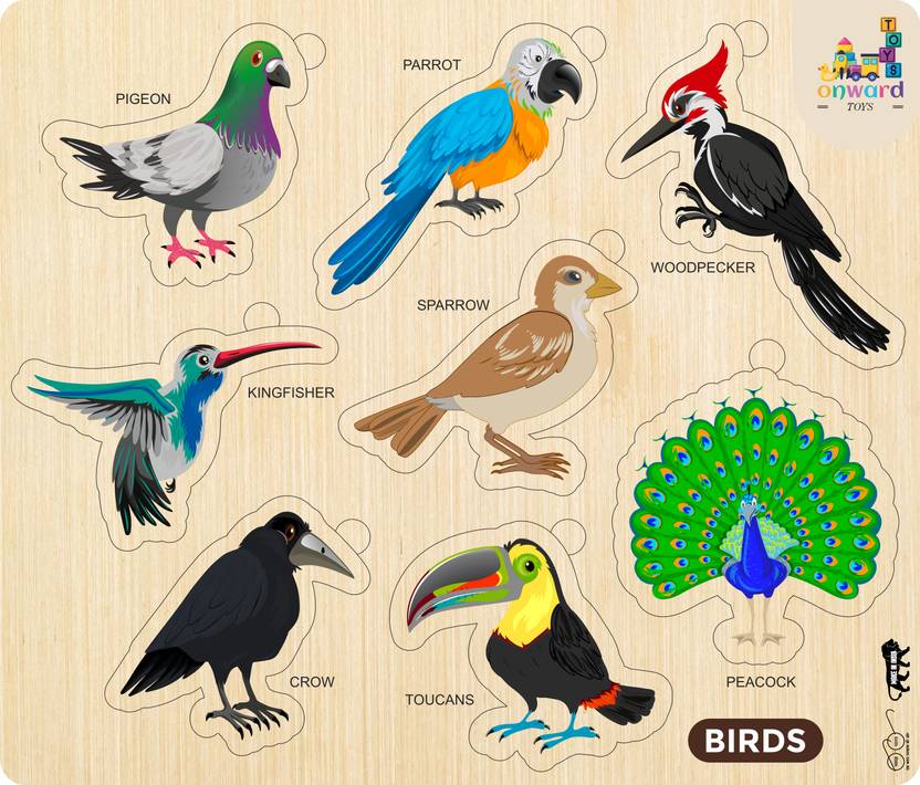 ASHOOJATEX Learning & Educational wooden Birds with best puzzle for kids toy