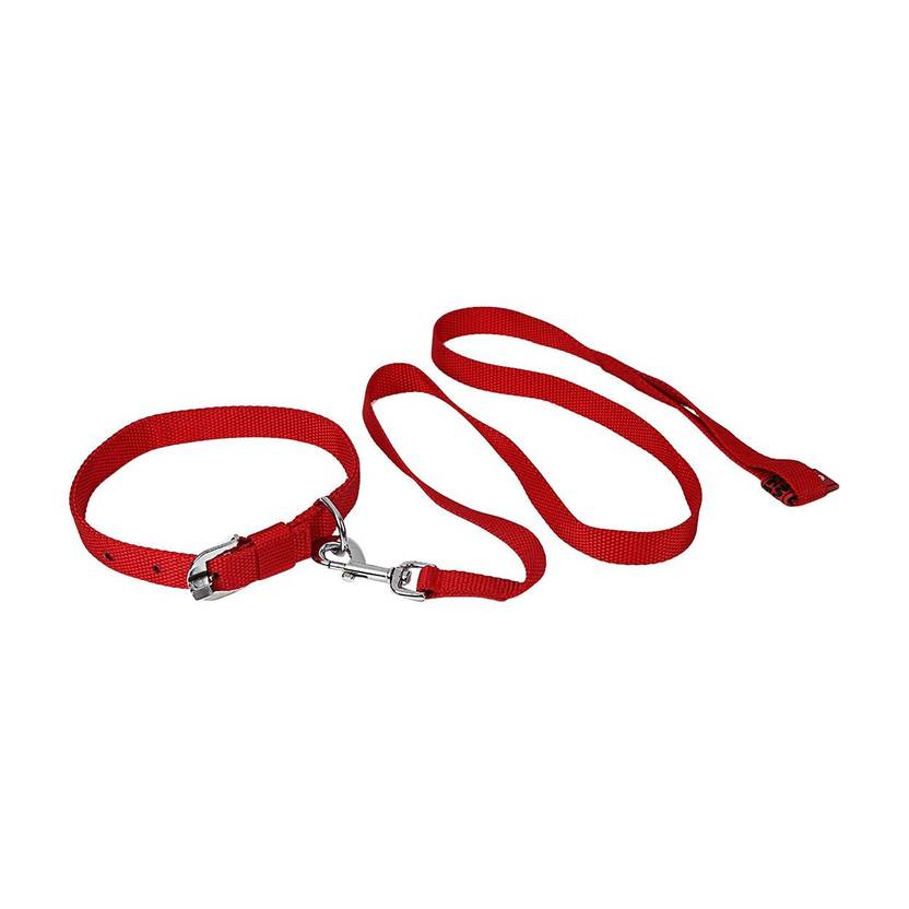 TommyChew Regular Dog Everyday Collar