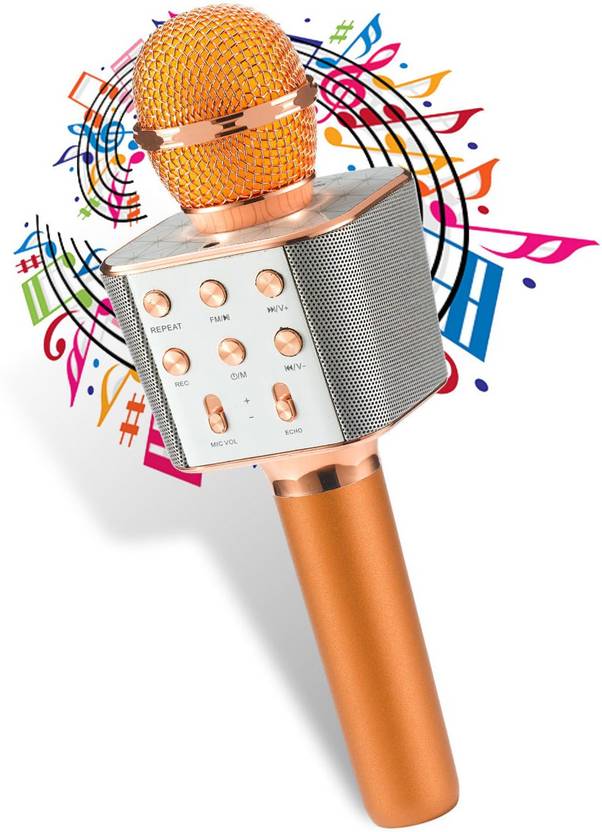 Daily Needs Shop Portable Wireless Microphone With Recording + USB + FM