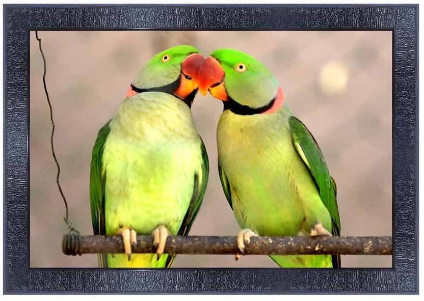lyrarts PARROT Digital Reprint 10 inch x 14 inch Painting