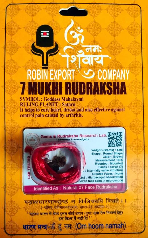 Robin Export Company 100 Genuine 7Mukhi Nepali Rudraksha Seven Faced