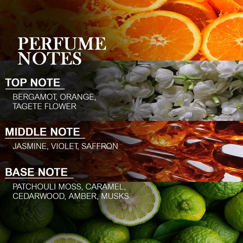 La French Dark Infinity Perfume 30 ml - Image 4