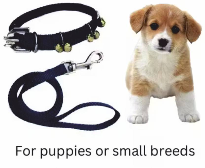 BODY BUILDING Dog Ghungroo Collar Adjustable Comfortable for Dog & Cat Collar & Leash