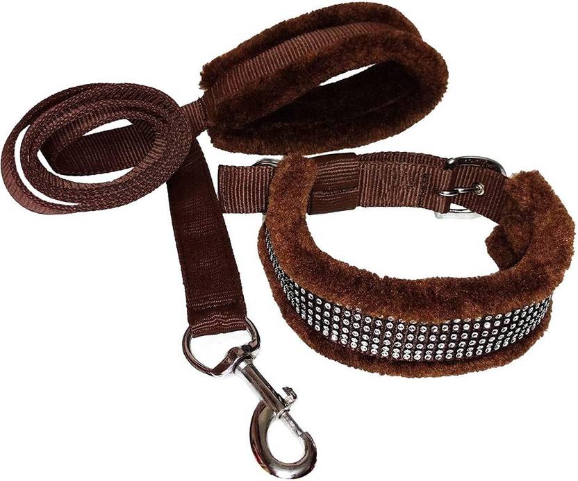 Aftra Dog & Cat Collar & Leash