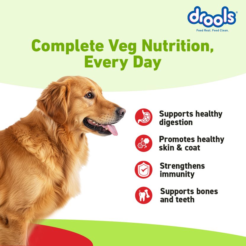 Drools 100% Vegetarian All Life Stages Vegetable 20 kg Dry Adult - Image 5