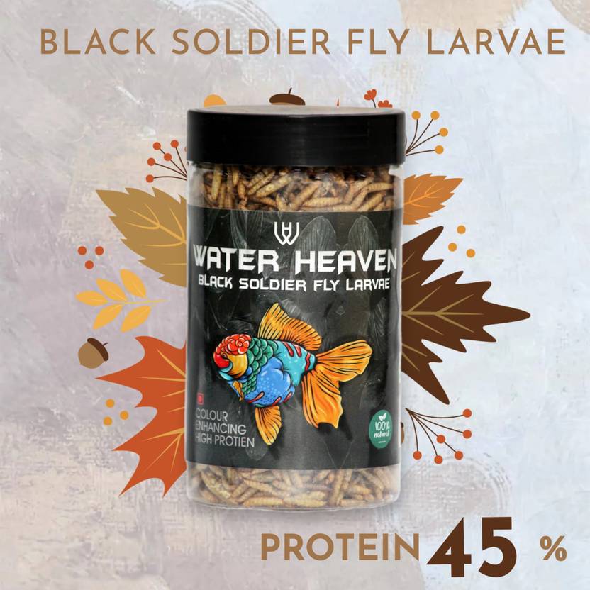 water heaven Black Soldier Fly Larvae 120Gm high protein100 Natural 0.12 kg Dry Adult, New Born
