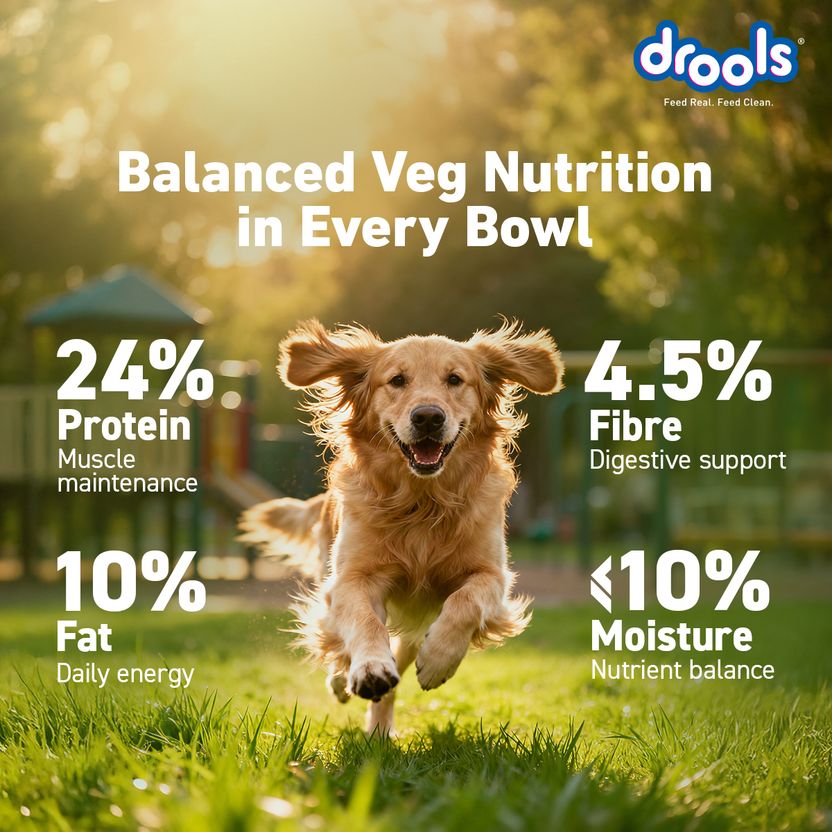 Drools 100% Vegetarian All Life Stages Vegetable 20 kg Dry Adult - Image 4