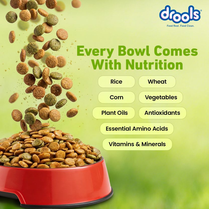 Drools 100% Vegetarian All Life Stages Vegetable 20 kg Dry Adult - Image 7
