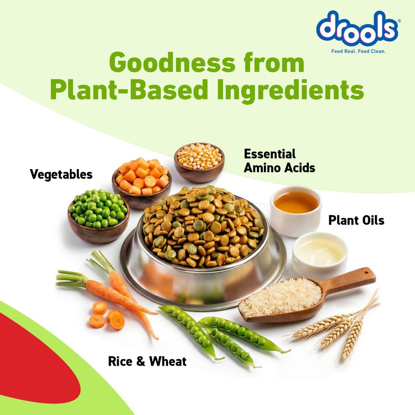 Drools 100% Vegetarian All Life Stages Vegetable 20 kg Dry Adult - Image 3