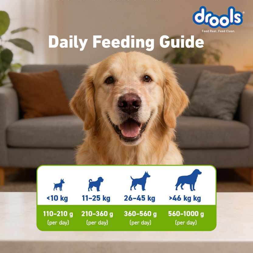 Drools 100% Vegetarian All Life Stages Vegetable 20 kg Dry Adult - Image 6