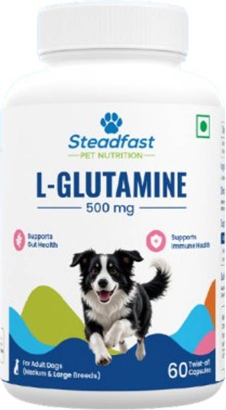 Steadfast NUTRITION SteadPetNt_LGlutamine_60C Pet Health Supplements