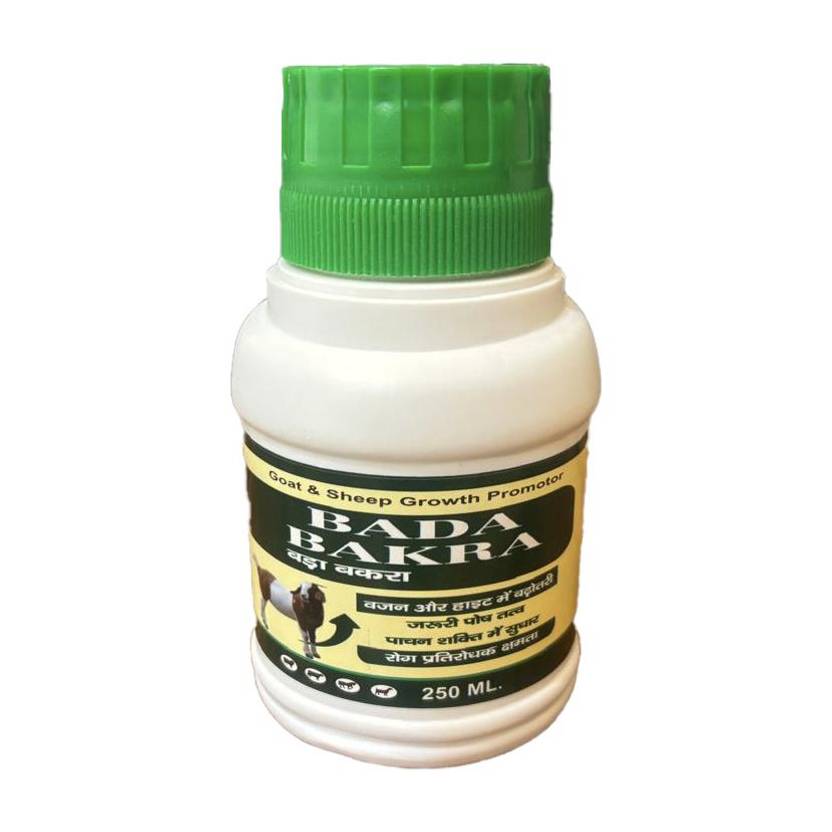 Aurous Bada Bakra -Goat and Sheep increase immunity,speedly growth promotor Pet Health Supplements