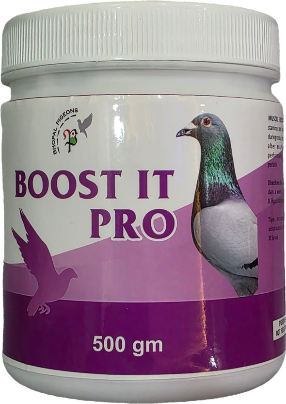 BOOST IT PRO Racing Pigeon Supplement, Muscle Recovery Support
