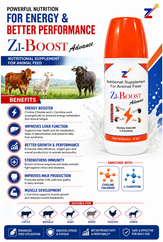 ZIAN ZI BOOST Energy Booster ZIAN ZI BOOST Energy and Milk