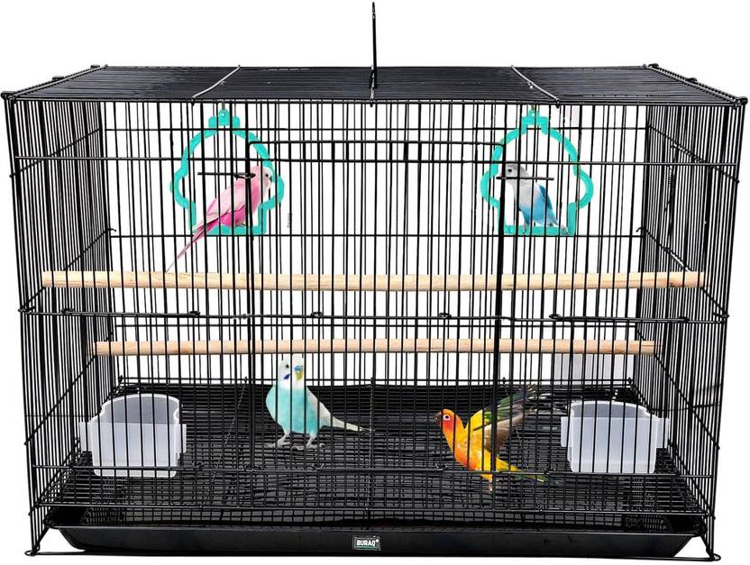 Buraq PETS 2 FT Bird Cage Best for Lovebird/Pet, Parrot, Parakeet, Budgie, Cockatiel Cage ...
