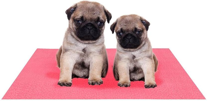 Amorite Reusable Washable Pee Pads-Puppies Washable Dog/Cat Diapers Salmon Rose Dog, Cat, Rabbit, Hamster Pet Mat