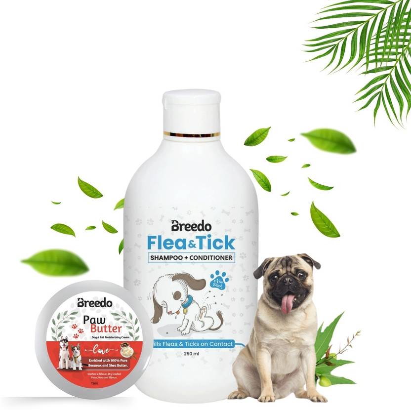 Breedo Dog & Cat Flea-Tick Shampoo(250ml)+Paw Butter Moisturizing & Soft Cream(15ml)| Allergy Relief, Conditioning, Anti-fungal, Anti-microbial, Anti-itching || Paw Butter Effective to Heal, Repair, Soften, Dry, Cracked, Paws & Elbows|| Dog Shampoo