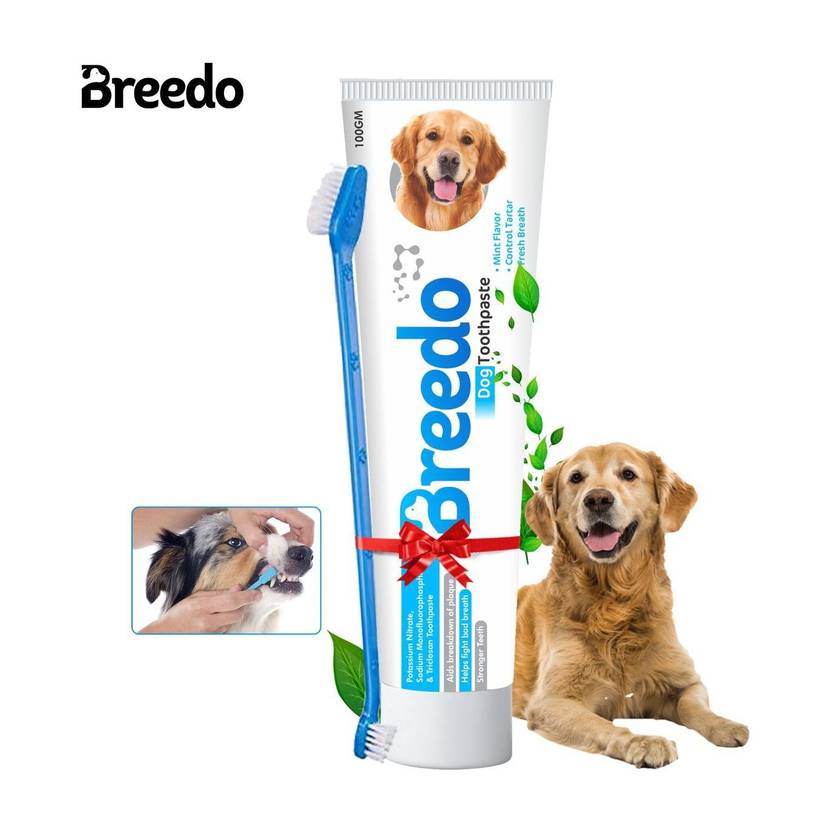 Breedo Cool Mint Toothpaste and 1Pcs Dog Toothbrush Combo for Dogs - 100g | Pet Toothpaste