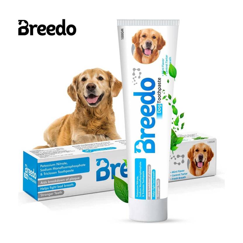 Breedo Cool Mint Toothpaste for Dogs - 100g |Soothing Mix of Mint and Cinnamon Oil Pet Toothpaste