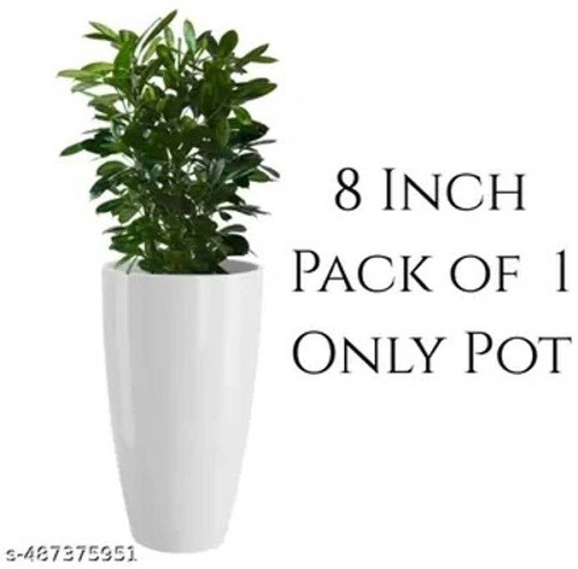 Atharvaplants Plant Container Set