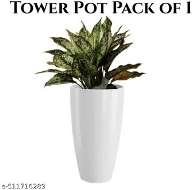 Atharvaplants NEW_TPW15 Plant Container Set