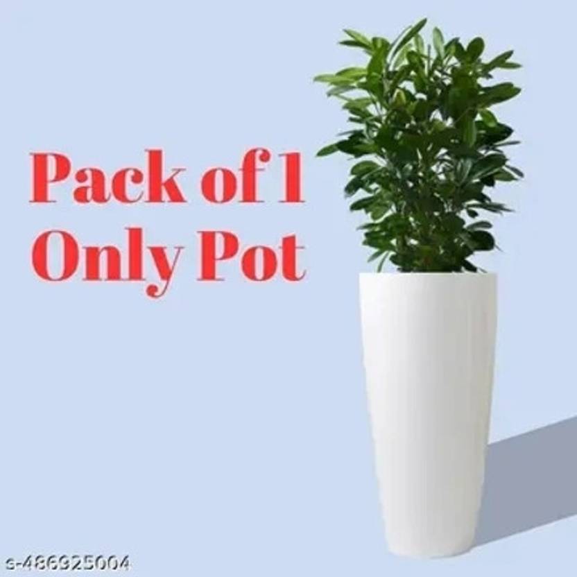 Atharvaplants Plant Container Set