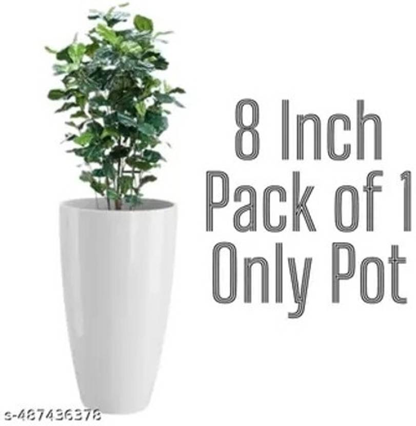 Atharvaplants Plant Container Set