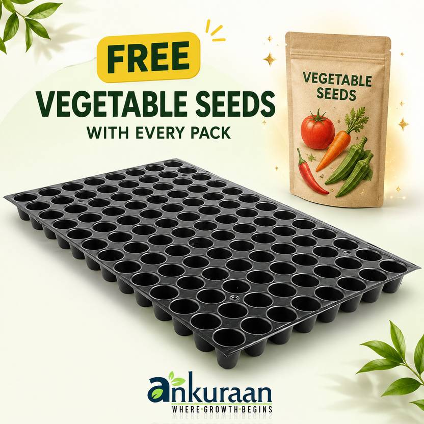 Ankuraan Seedling, Nursery Trays for Plants, 104 holes Set of 5 Plant Container Set Plant Container Set