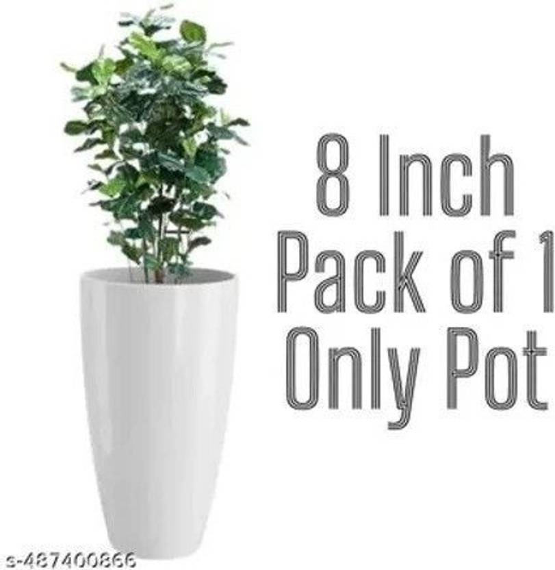 Atharvaplants Atharvaplants Pot Oval Plastic Pack of 1 White Plant Container Set