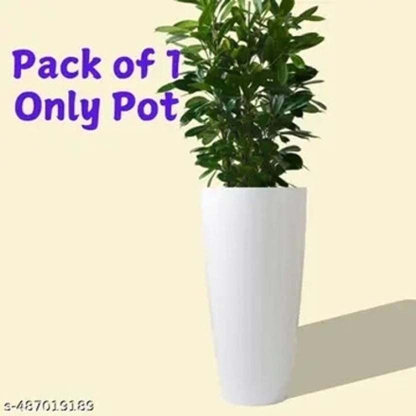 Atharvaplants Plant Container Set